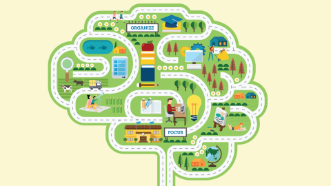 Mapping the ADHD Brain: How Neurotransmitters and Medication Work
